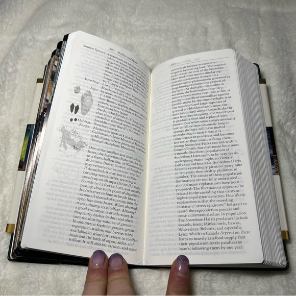 Audubon Society Field Guide to - Night Sky, Mammals, & handbook of Western Birds - Picture 7 of 16